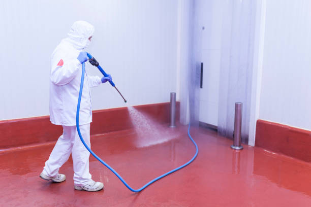 Paint Preparation in Wauchula, FL